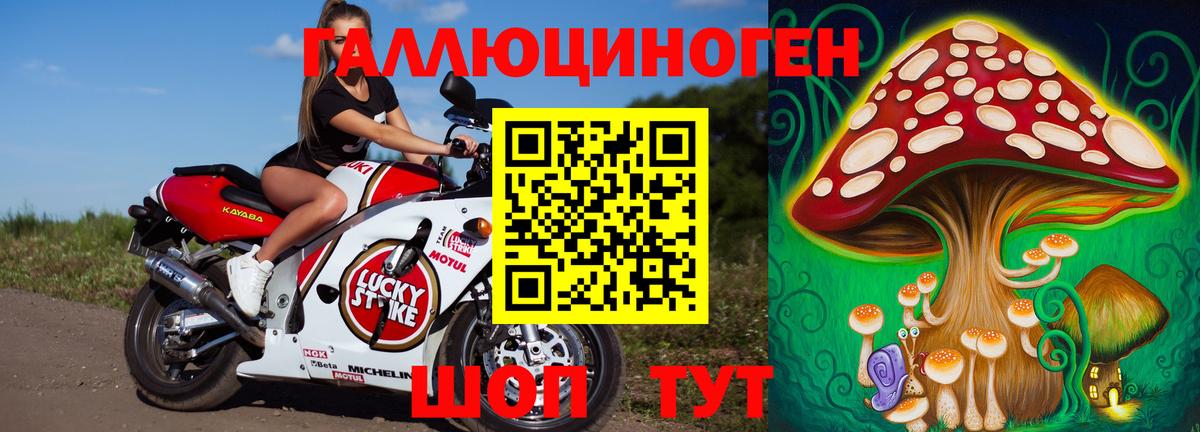 Орехово-Зуево  Галлюциногенные грибы Magic Shrooms  купить наркотик  Псилоцибиновые грибы Psilocybine cubensis  Вход с VPN 