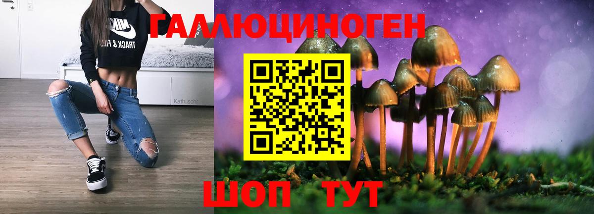 Галлюциногенные грибы Psilocybine cubensis Орехово-Зуево